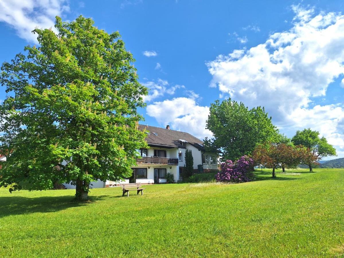Pension Schneider Frauenau Exterior photo